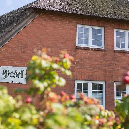 Apartment Haus Pesel - Abendsonne *