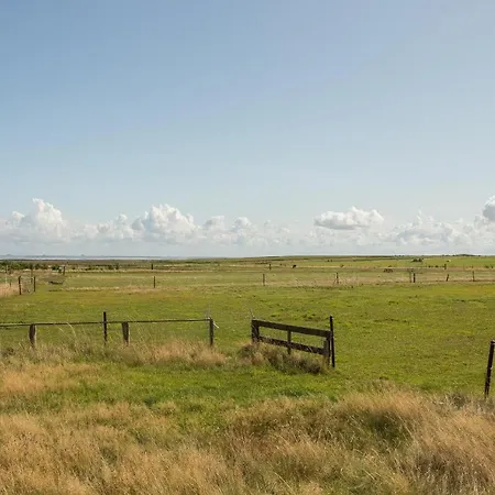 Haus Pesel - Abendsonne * Norddorf