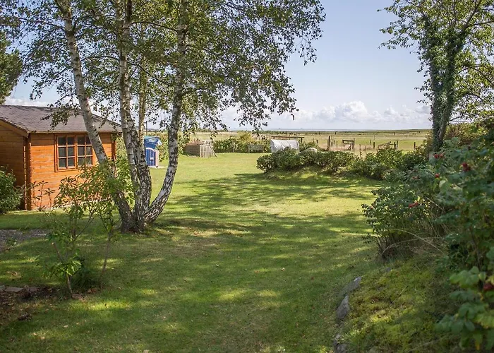 Appartement Haus Pesel - Abendsonne